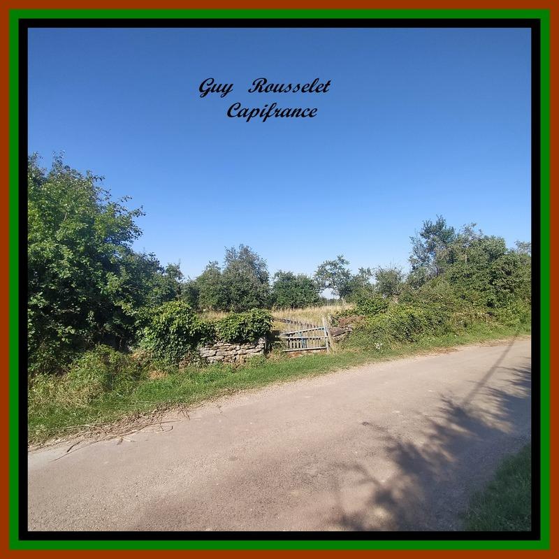 Terrain constructible - 1 293 m²