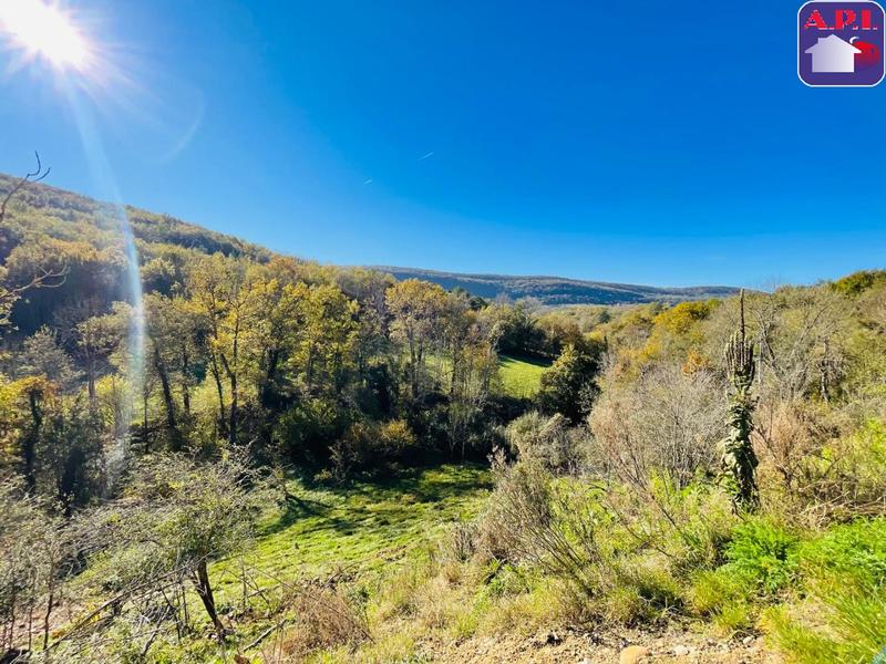 Maison contemporaine - 180 m² - 4 pièces