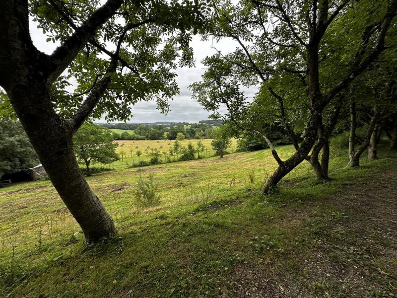 Terrain - 57 753 m²