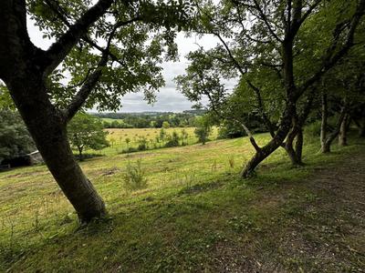 Terrain - 57 753 m²