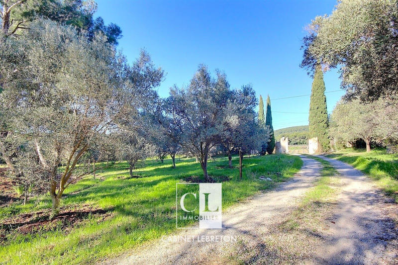 Villa - 295 m² - 5 pièces