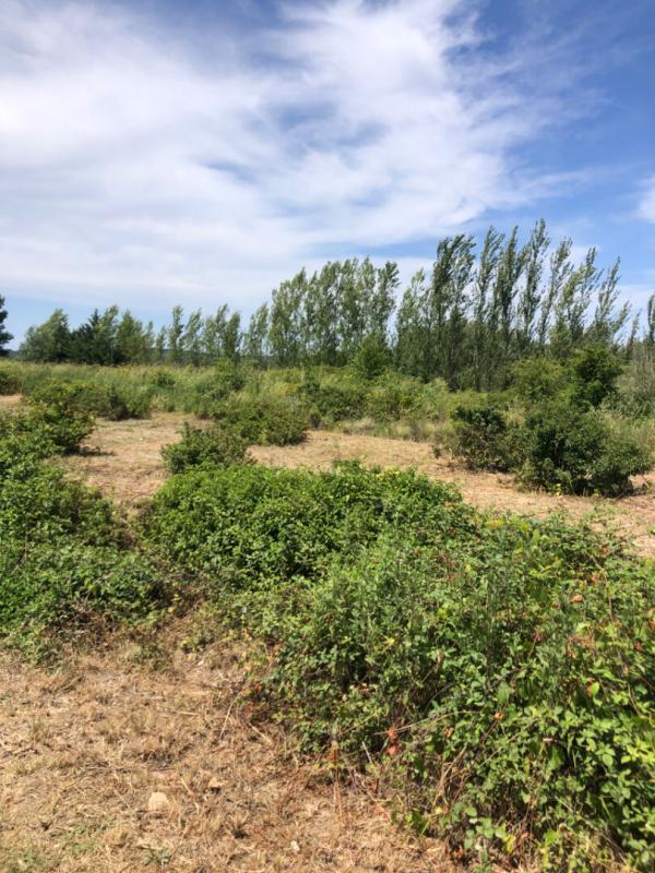 Terrain de loisirs - 1 900 m²