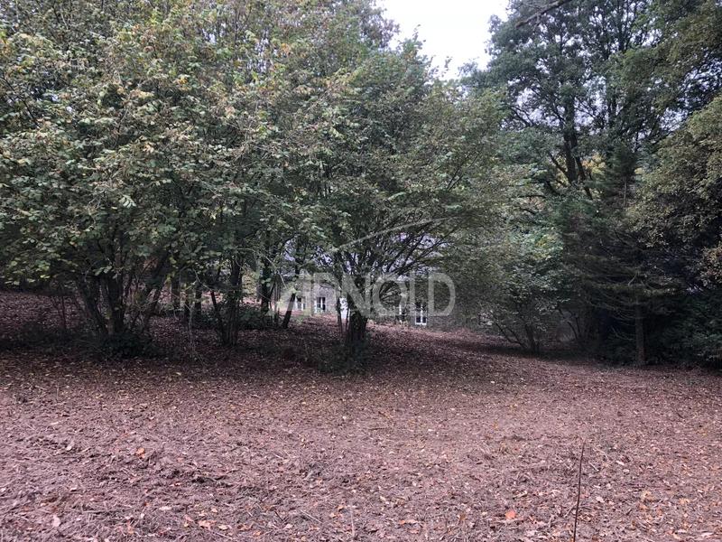 Moulin - 250 m² - 5 pièces