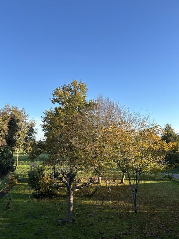 Appartement - 77 m² - 3 pièces