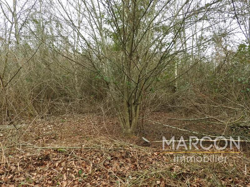 Maison - 25 m² - 1 pièce