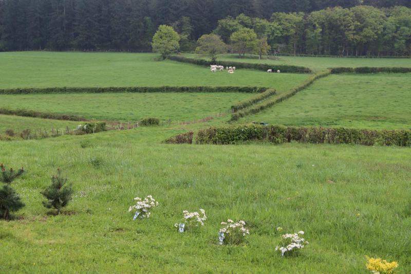 Maison traditionnelle - 190 m² - 6 pièces