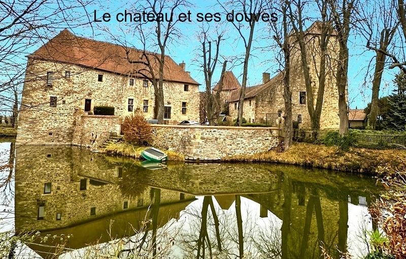 Château - 350 m² - 5 pièces