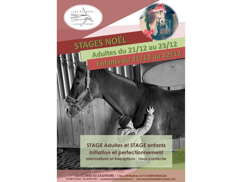 Stages d'équitation aux Écuries du Sagittaire