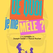 De Quoi je me Mêle ? - le Complexe, Lyon