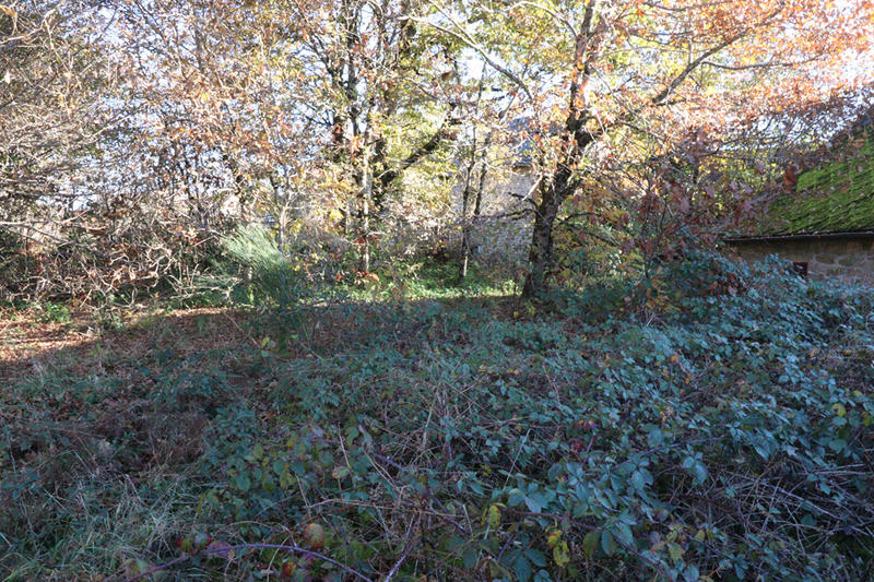 Maison - 45 m² - 1 pièce