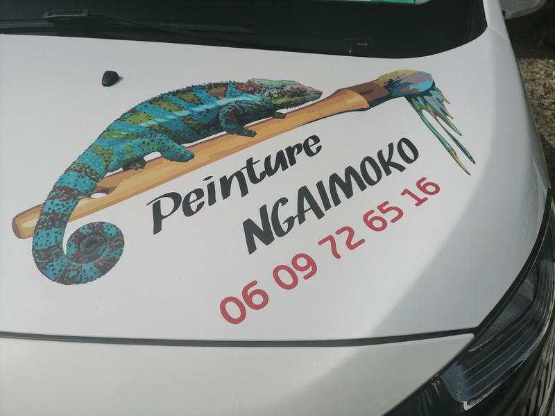 Peinture ngaimoko