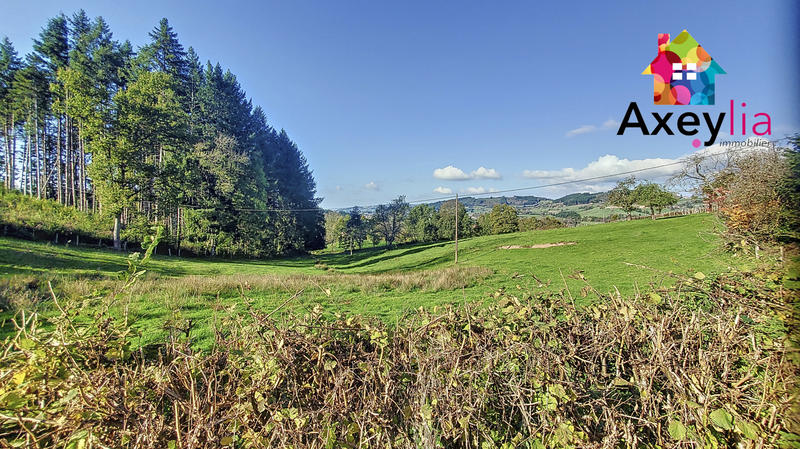 Maison - 321 m² - 11 pièces