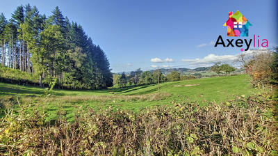 Maison - 321 m² - 11 pièces