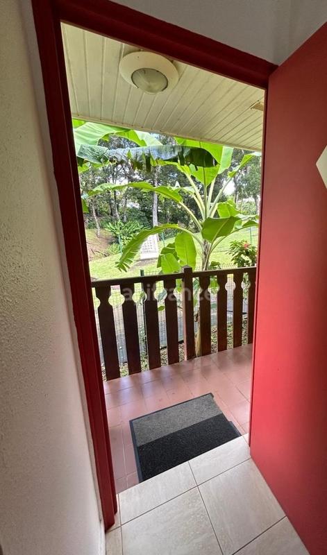 Appartement - 23 m² - 1 pièce