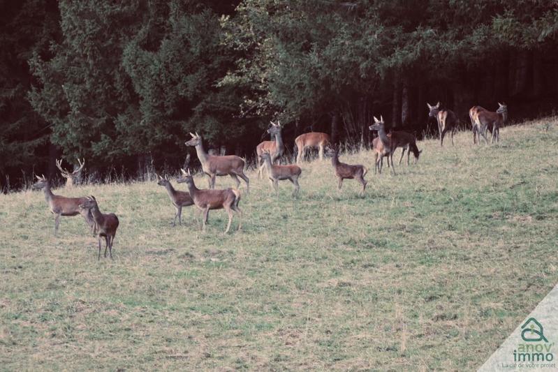 Appartement - 77 m² - 3 pièces