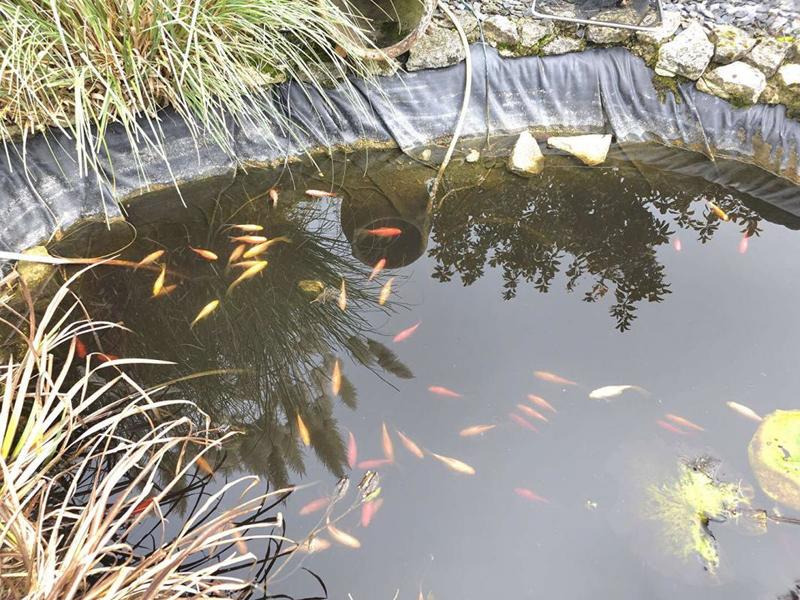 Maison - 204 m² - 9 pièces