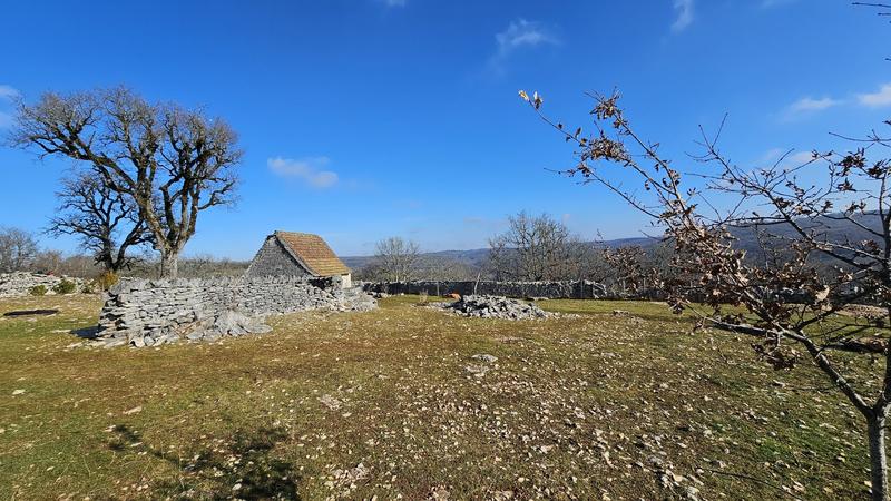 Terrain - 80 524 m²