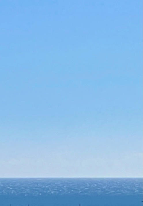 Appartement - 14 m² - 1 pièce