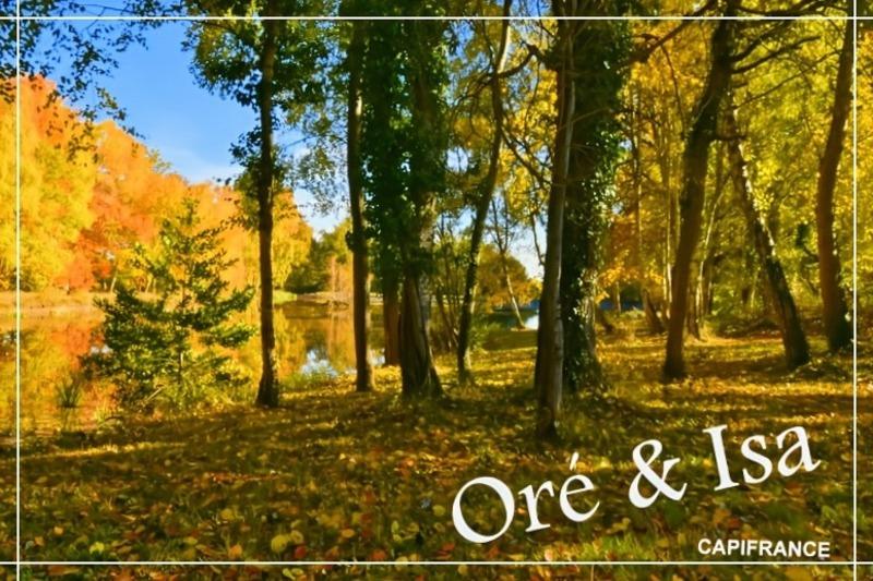 Terrain - 49 655 m²