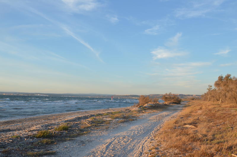 Randonnée commentée  : Lido du Jaï, nature sauvage entre deux étangs