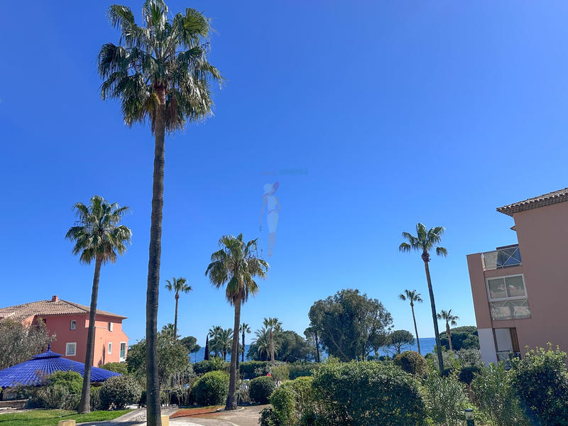 Appartement - 30 m² - 2 pièces