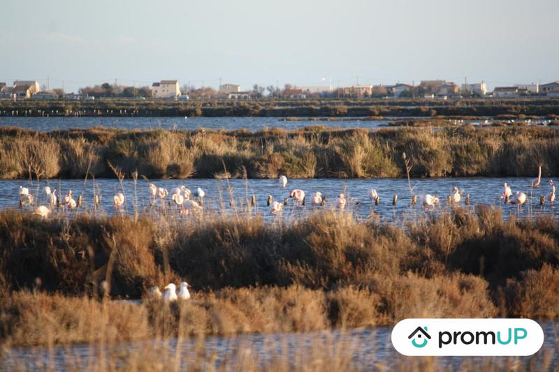 Appartement - 31 m² - 2 pièces