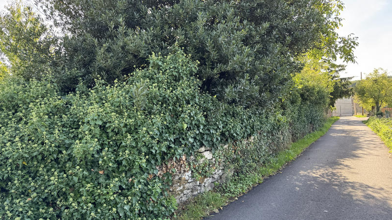 Maison - 100 m² - 1 pièce