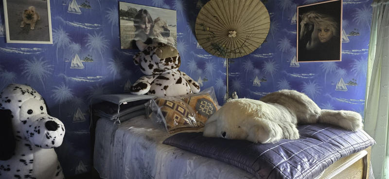 Viager - Maison - 118 m² - 6 pièces