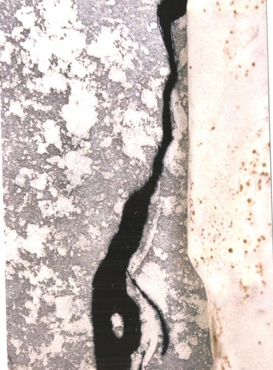 Exposition : Matière de silence