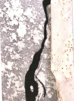 Exposition : Matière de silence