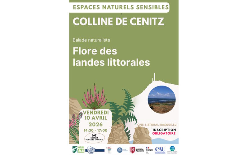 Balade naturaliste : flore des landes littorales sur la colline de Cénitz