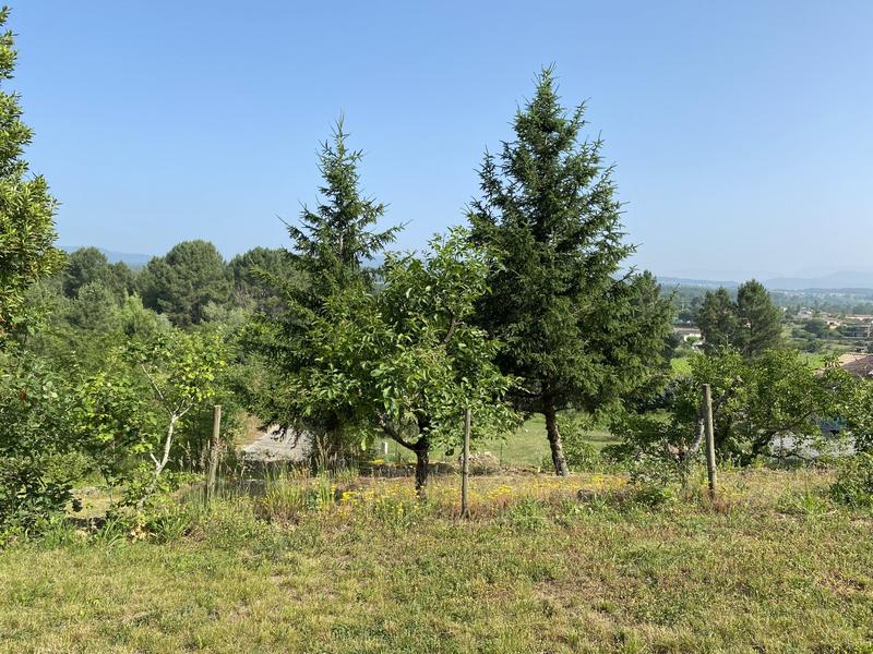 Terrain - 914 m²