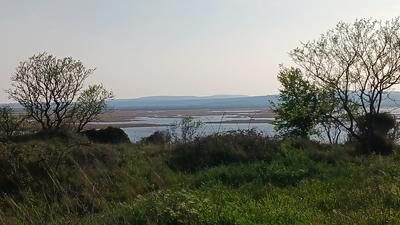 Terrain agricole - 4 323 m²