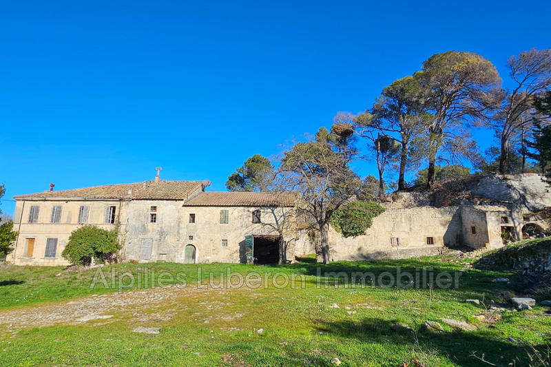 Maison en pierre - 630 m² - 10 pièces