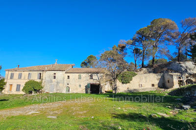 Maison en pierre - 630 m² - 10 pièces