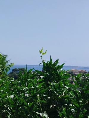 Appartement - 90 m² - 3 pièces