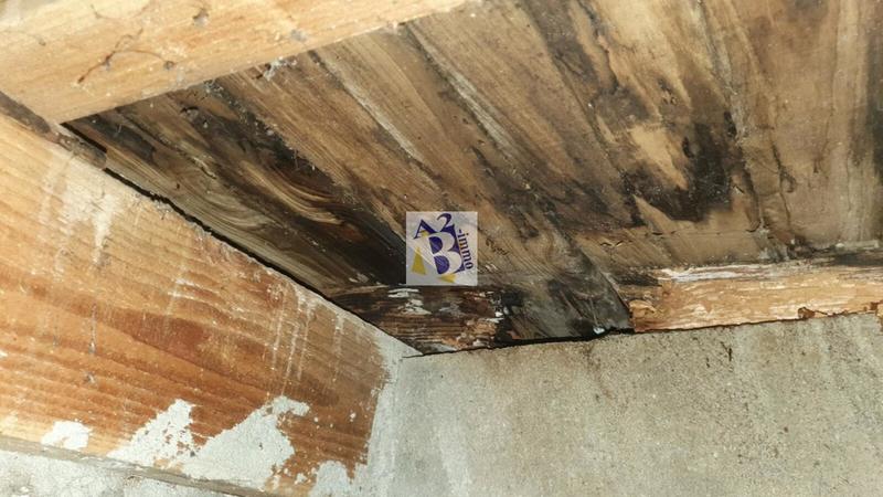 Maison de campagne - 50 m² - 1 pièce