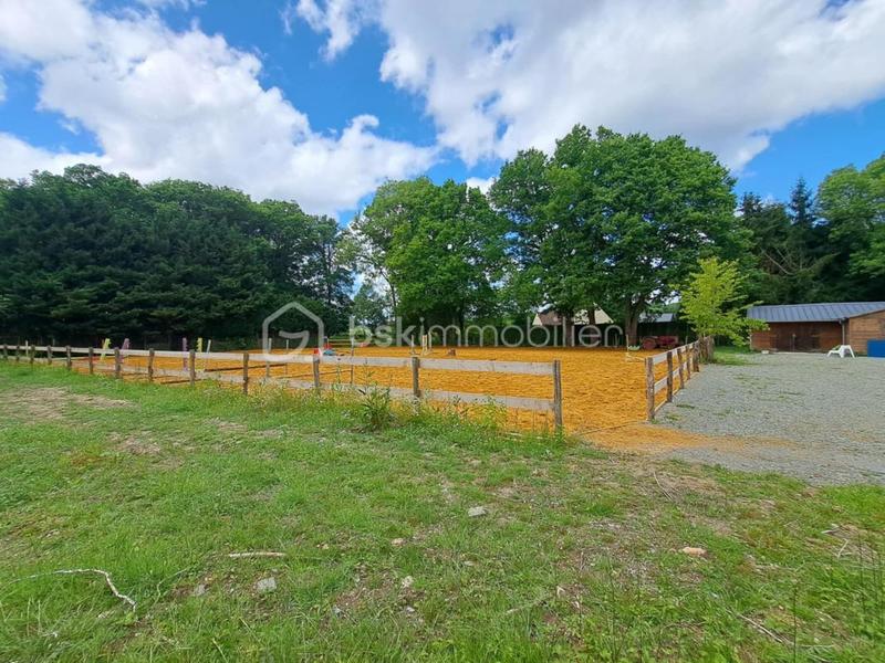 Maison de domaine équestre - 116 m² - 5 pièces