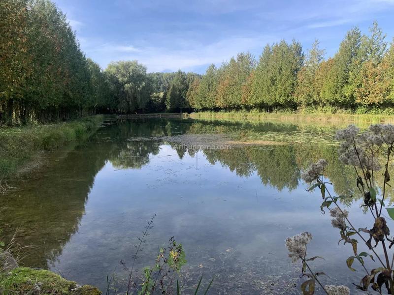 Terrain - 16 926 m²