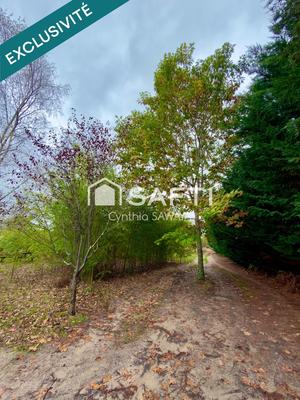 Terrain - 30 000 m²