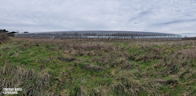 Terrain agricole - 120 000 m²