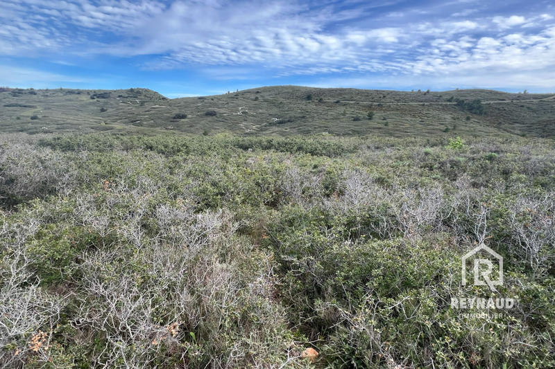 Terrain - 41 490 m²