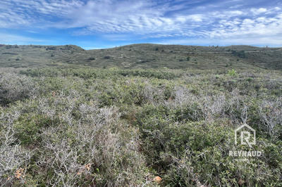 Terrain - 41 490 m²