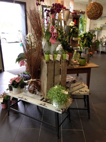 Brindilles et Coccinelles