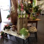 Brindilles et Coccinelles