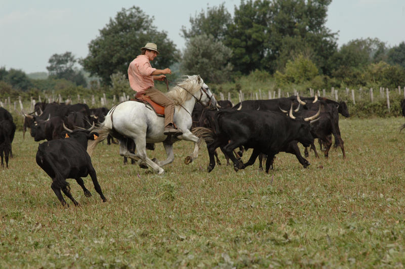 Manade des Chanoines