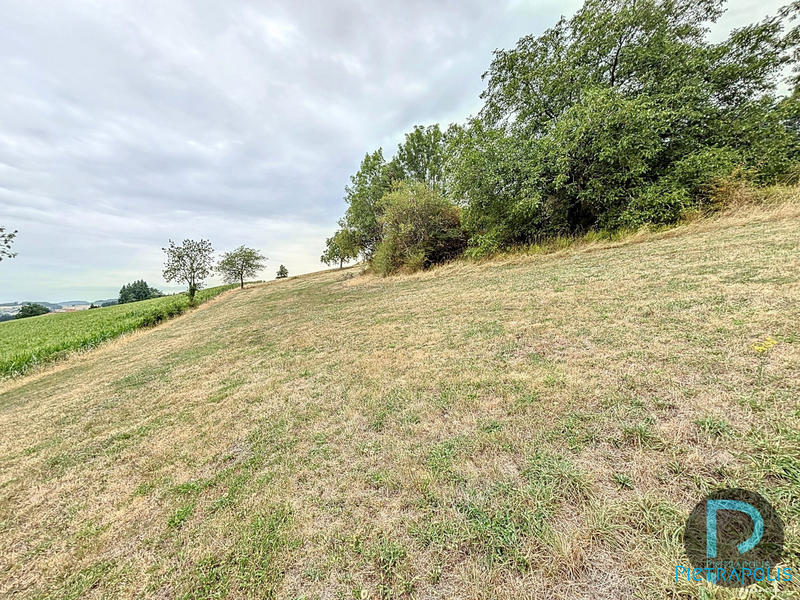 Terrain agricole - 6 055 m²