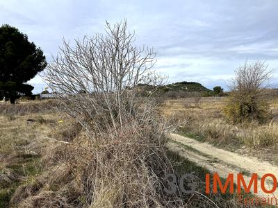 Terrain agricole - 10 081 m²