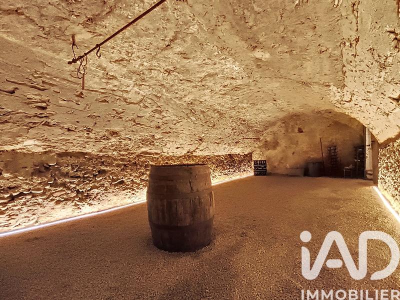 Château - 320 m² - 8 pièces