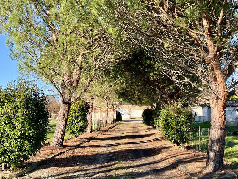 Maison - 226 m² - 8 pièces